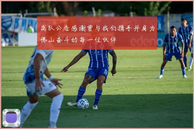 离队公告感谢曾与我们携手并肩为佛山奋斗的每一位伙伴