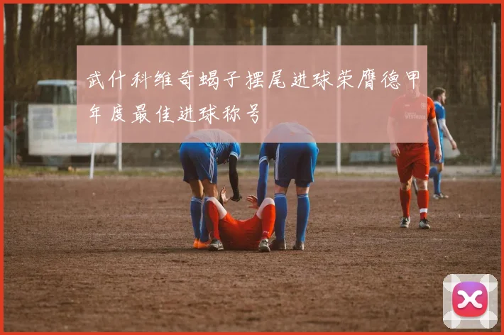 武什科维奇蝎子摆尾进球荣膺德甲年度最佳进球称号