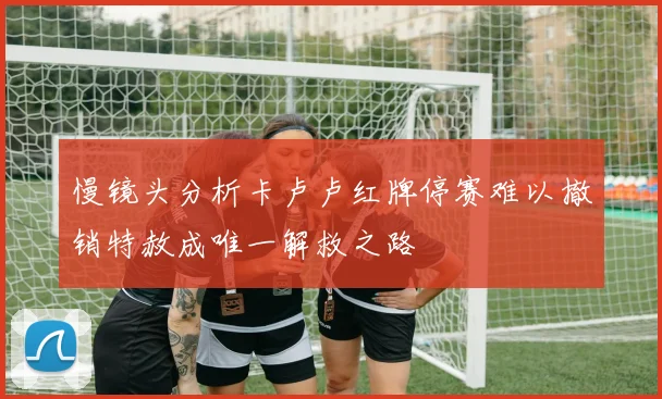 慢镜头分析卡卢卢红牌停赛难以撤销特赦成唯一解救之路