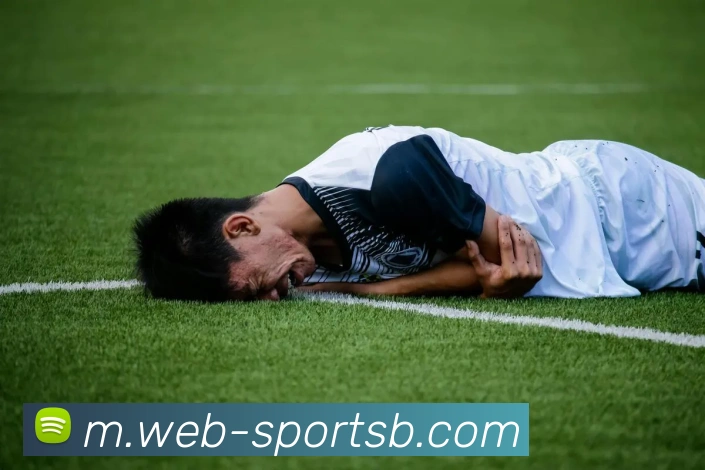 多媒体互动体验